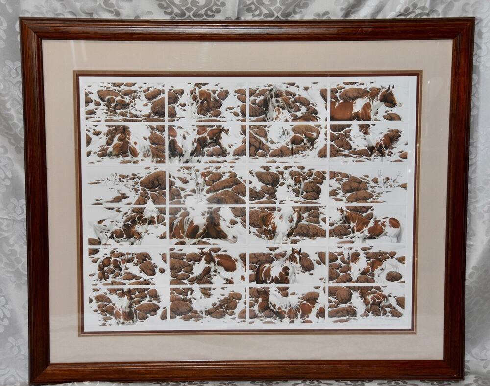 Bev Doolittle Limited Edition Signed & Numbered Hide and Seek Horses Framed Art